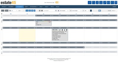 Maklersoftware Terminplaner Monatsansicht