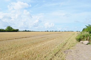 Weitblick