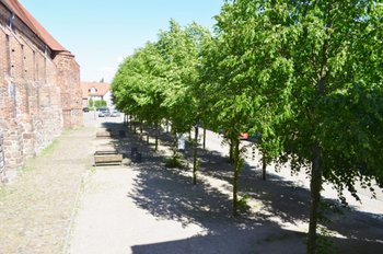 Blick vom Wohnzimmer