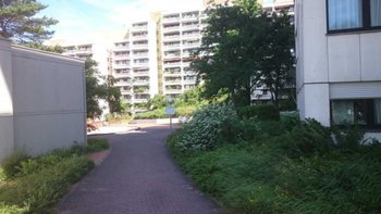 253047