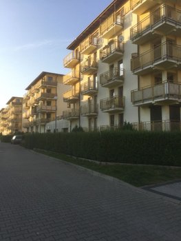 271317