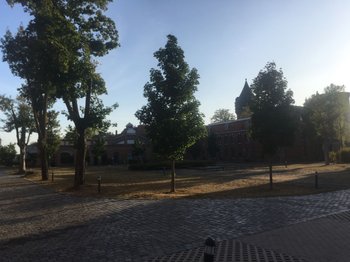 Parkanlage