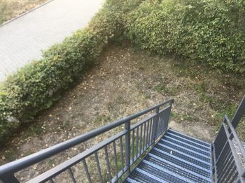 Treppe in Garten