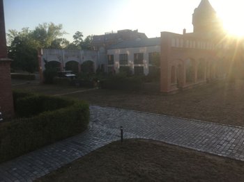 Blick vom Treppenhaus in die Parkanlage