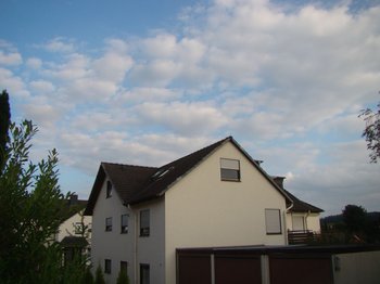 331567