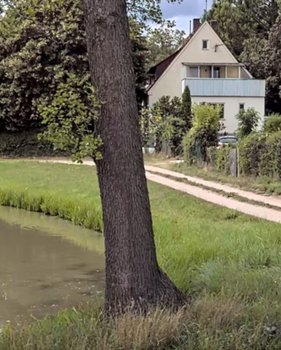 Ihr neues Zuhause mit viel Platz u. Natur, 1-2 Familienhaus in Traumlage von Stein zu verkaufen!