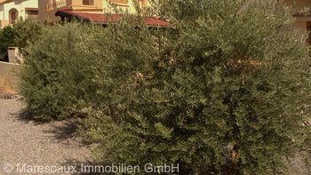 Immobilie Nordzypern | 