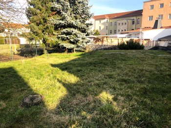Ihr Gemeinschaftsgarten