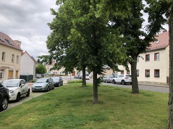 Herrlich angelegte Grünfläche direkt vor dem Haus