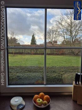 Aussicht Fenster Küche