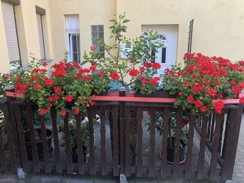 Eine von zwei Terrassen