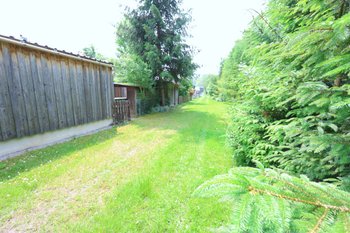 Waldweg hinterm Haus