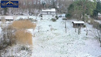 Altbestand