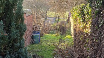 schmaler Garten