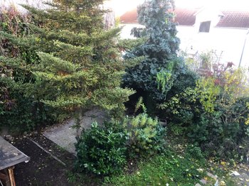 Innenliegender großer Garten