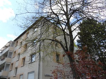 Blick zum Wohnhaus