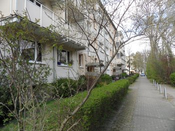 Weg zur Straße