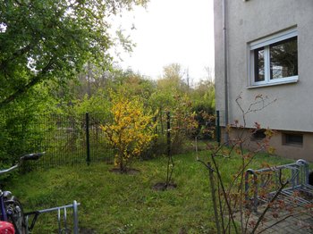 Vorgärten Hauseingänge