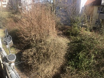 Blick Balkon