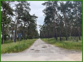 Waldweg