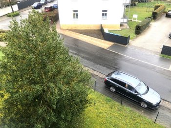 Umgebung