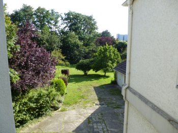 Blick in den Garten