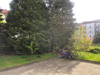 Gemeinschaftsgarten