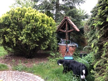Nr. 3 Garten