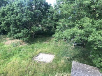 Blick in den Garten