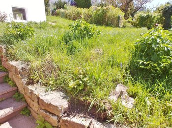 ***Haus mit Garten und Terrasse in Leonberg***