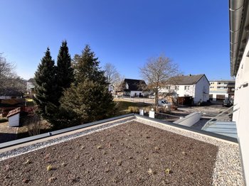 Dachbepflanzung Carport