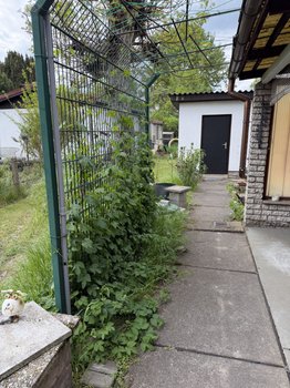 Durchgang zum Nebengelass und hinterem Gartenteil