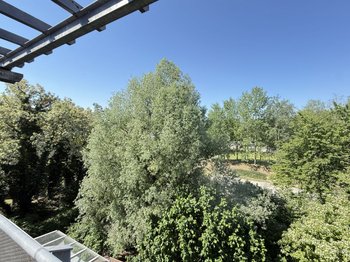 Aussicht ins Grüne
