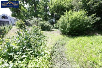 Grünfläche mit Bachlauf