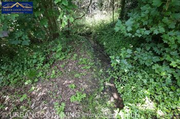 Grünfläche mit Bachlauf