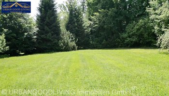 eingewachsenes Grundstück