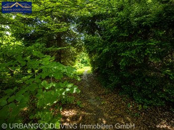 Grünstreifen mit Bachlauf