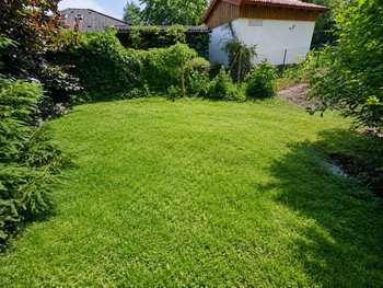 Grünstreifen mit Bachlauf