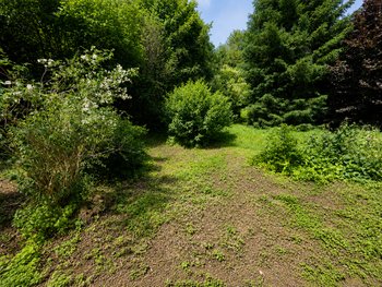 Grünstreifen mit Bachlauf