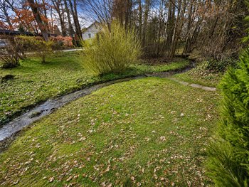 Grünstreifen mit Bachlauf