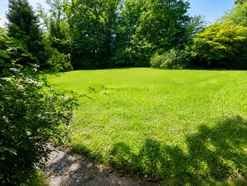 aus Osten