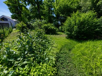 Grünstreifen mit Bachlauf