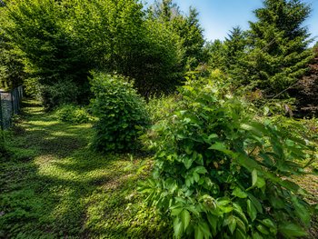 Grünstreifen mit Bachlauf