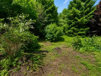 Grünstreifen mit Bachlauf