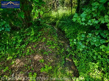 Grünstreifen mit Bachlauf