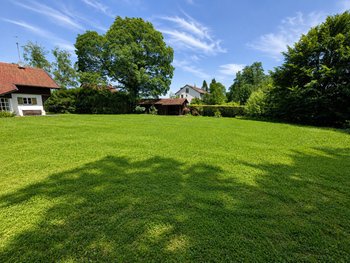 aus Süden