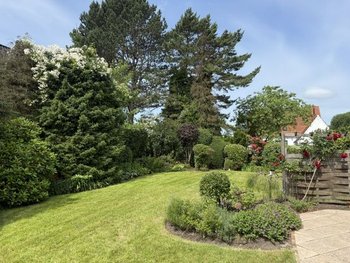 Blick in den Garten