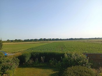 Blick aus dem Fenster