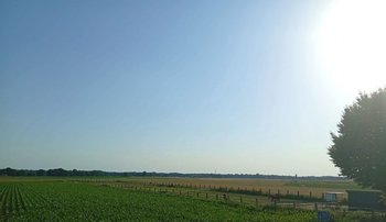 Blick aus dem Fenster
