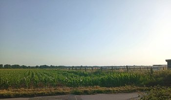 Blick aus dem Fenster